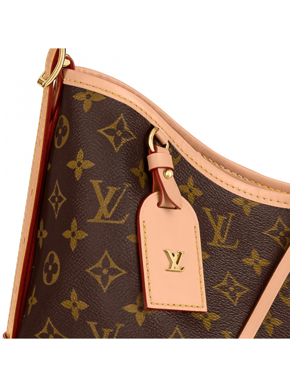 Сумка Louis Vuitton Carry All MM